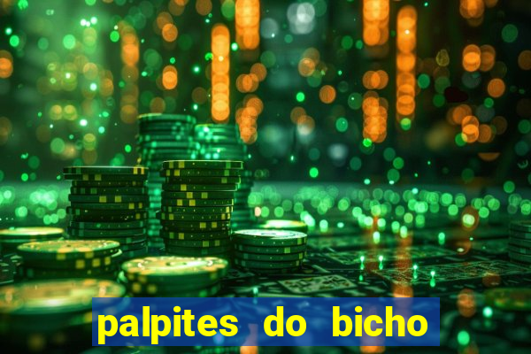 palpites do bicho no celular