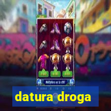 datura droga