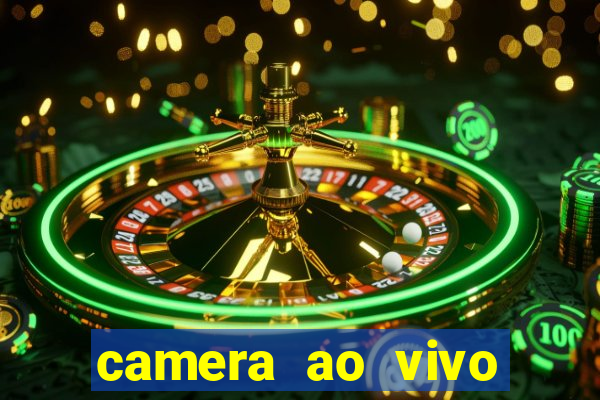 camera ao vivo beto carrero