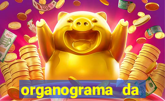 organograma da cacau show