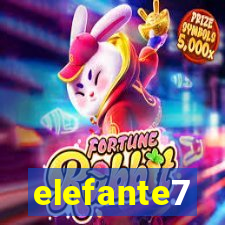 elefante7