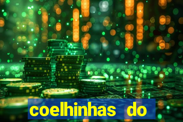 coelhinhas do brasil acompanhantes