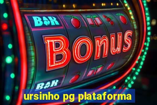 ursinho pg plataforma