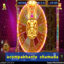 acompanhante chamada de video