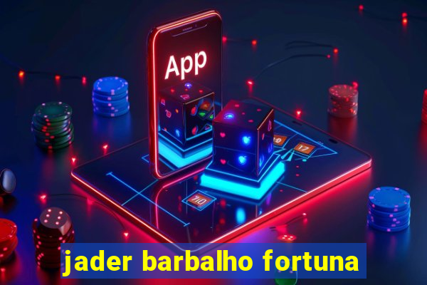 jader barbalho fortuna