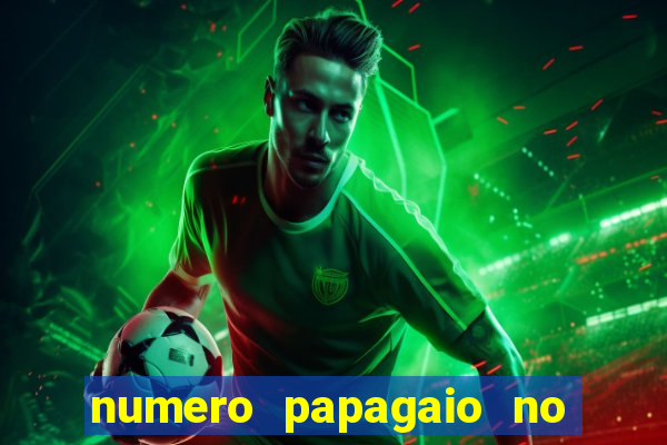 numero papagaio no jogo do bicho