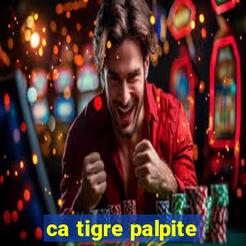 ca tigre palpite