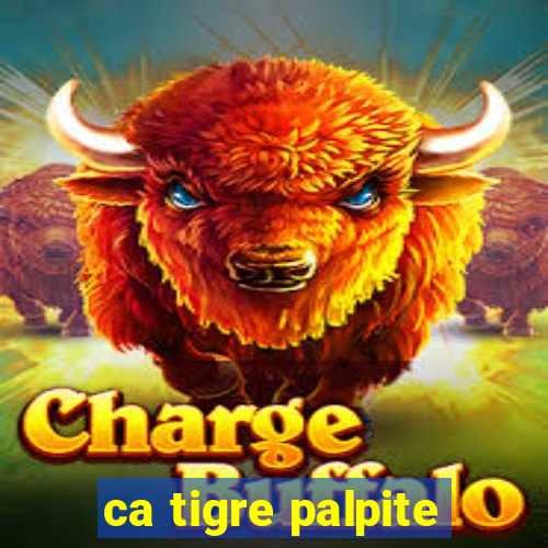 ca tigre palpite