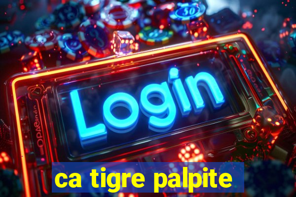 ca tigre palpite