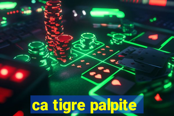 ca tigre palpite