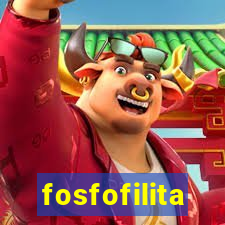 fosfofilita