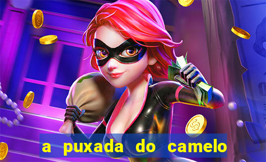 a puxada do camelo no jogo do bicho