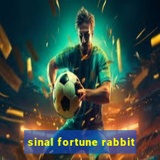 sinal fortune rabbit