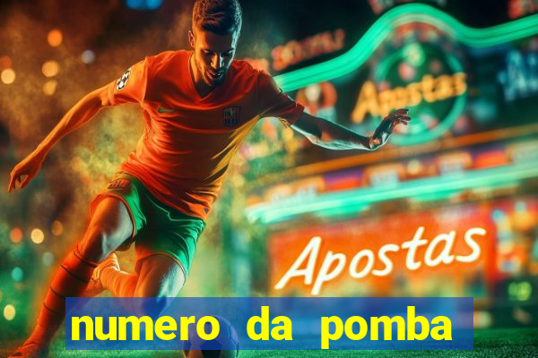 numero da pomba jogo do bicho