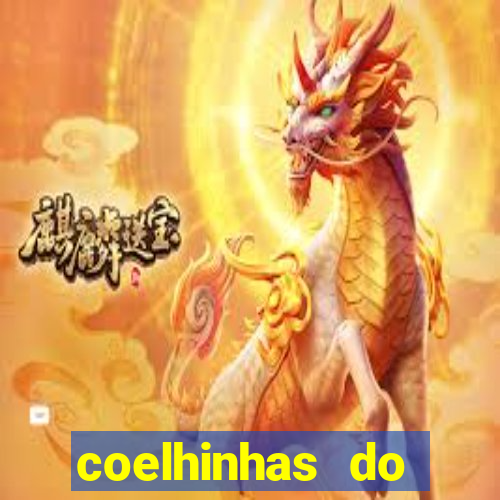 coelhinhas do brasil jp