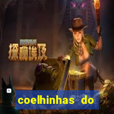 coelhinhas do brasil jp