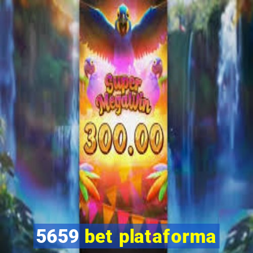 5659 bet plataforma