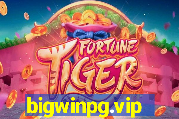 bigwinpg.vip