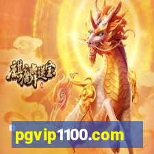 pgvip1100.com