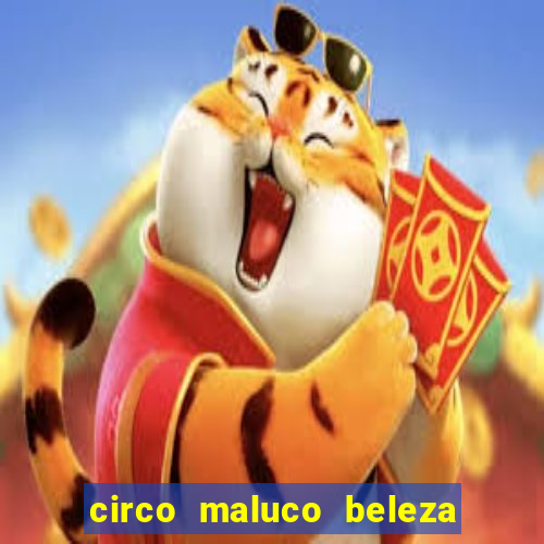 circo maluco beleza recife circo maluco