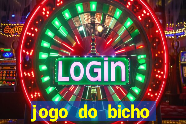 jogo do bicho crash bingo