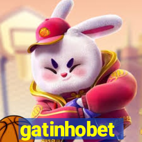 gatinhobet