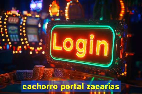 cachorro portal zacarias