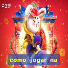 como jogar na seninha online