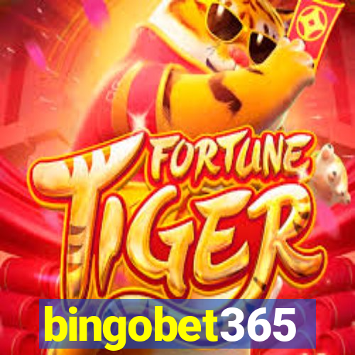 bingobet365