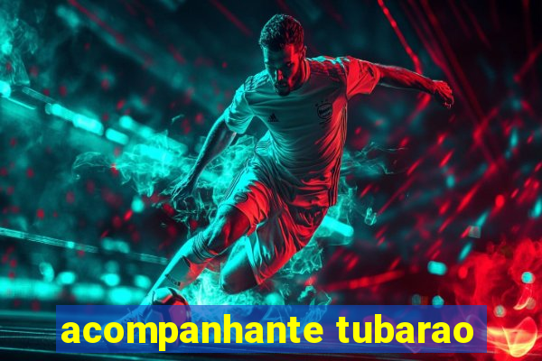 acompanhante tubarao