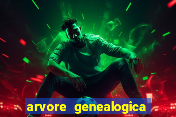 arvore genealogica dos gracie