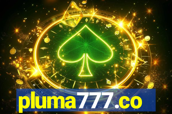 pluma777.co