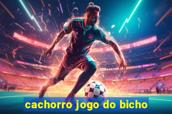 cachorro jogo do bicho