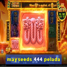 mayseeds 444 pelada