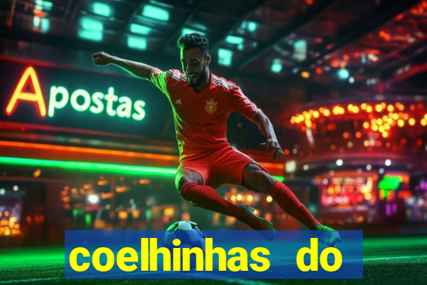 coelhinhas do brasil site