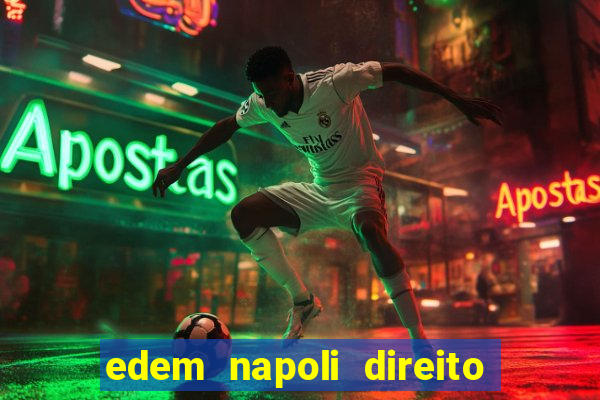 edem napoli direito constitucional pdf