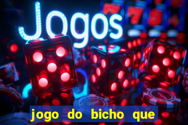 jogo do bicho que paga no pix