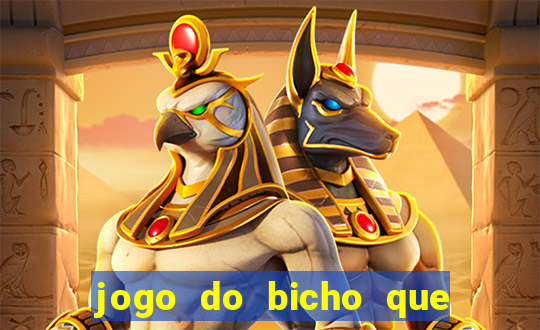 jogo do bicho que paga no pix