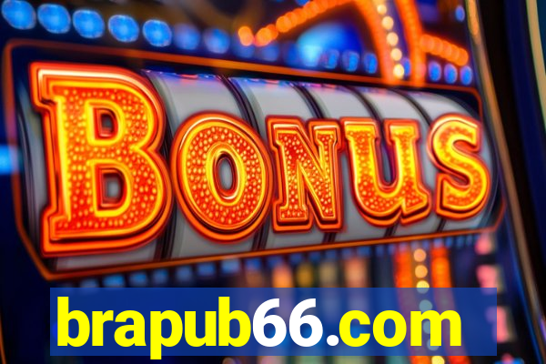 brapub66.com