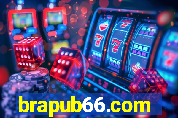 brapub66.com