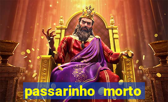 passarinho morto significado espiritual