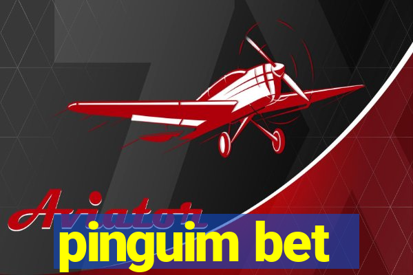 pinguim bet