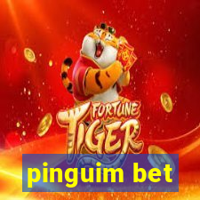 pinguim bet