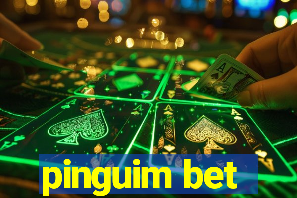 pinguim bet