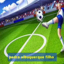 pedro albuquerque filho