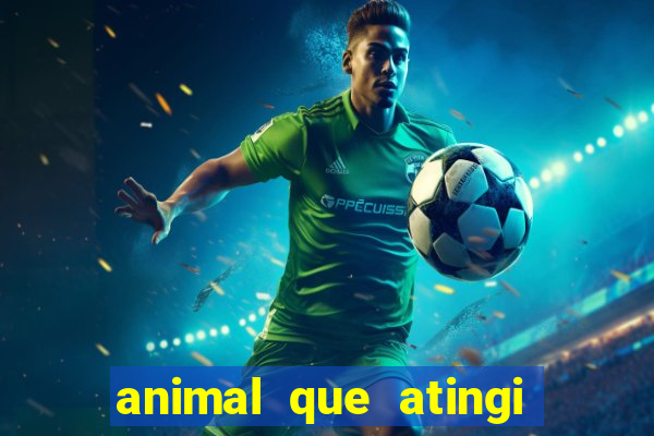 animal que atingi 230 decibeis