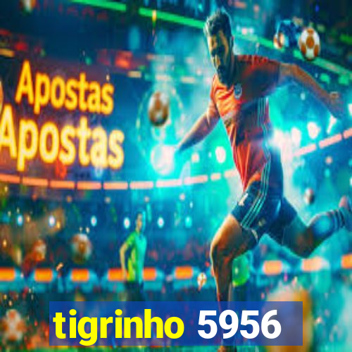 tigrinho 5956