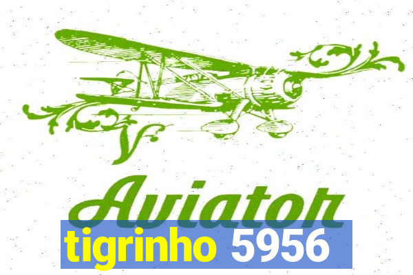 tigrinho 5956