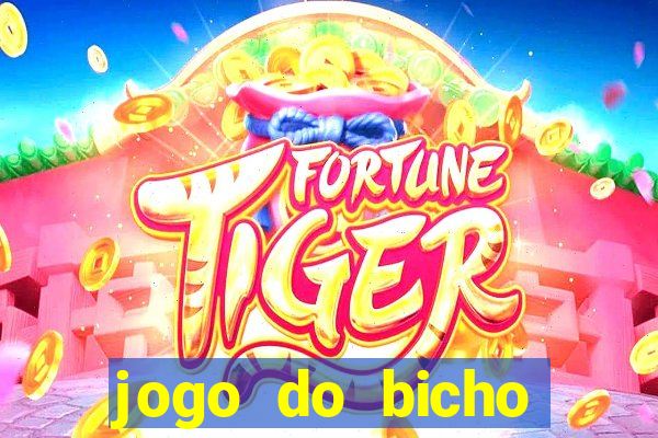 jogo do bicho tipos de apostas