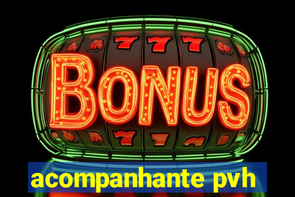 acompanhante pvh